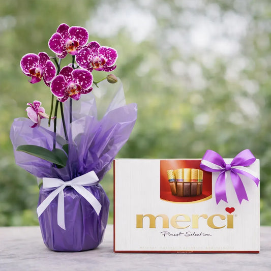 Сет - Орхидея и бонбони Merci