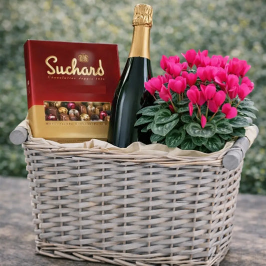 Сет - Саксийно цвете, бонбони и пенливо вино