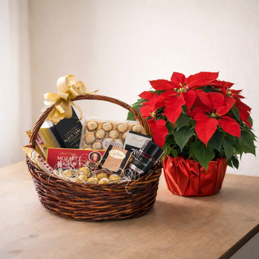 Кошница - "Стил" (Цвете в саксия и подаръчна кошница)