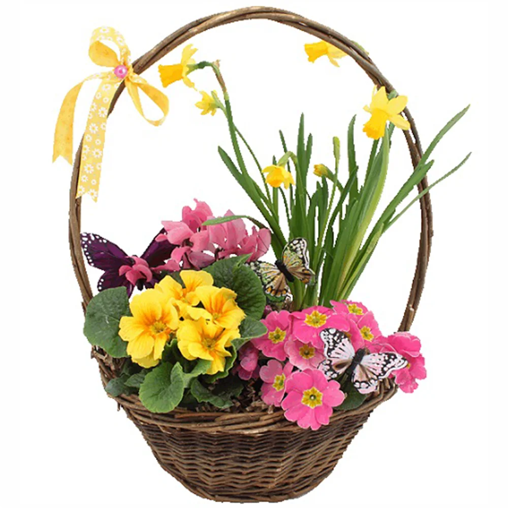 Пролетна кошница с цветя в саксии от Подари Цвете, доставки в Радомир и Дупница.