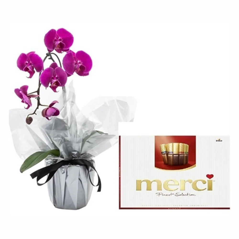 Сет - Орхидея и бонбони Merci от Подари Цвете, доставки в Радомир и Дупница.